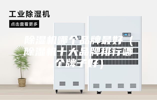 除濕機哪個品牌最好(除濕機十大品牌排行哪個牌子好)