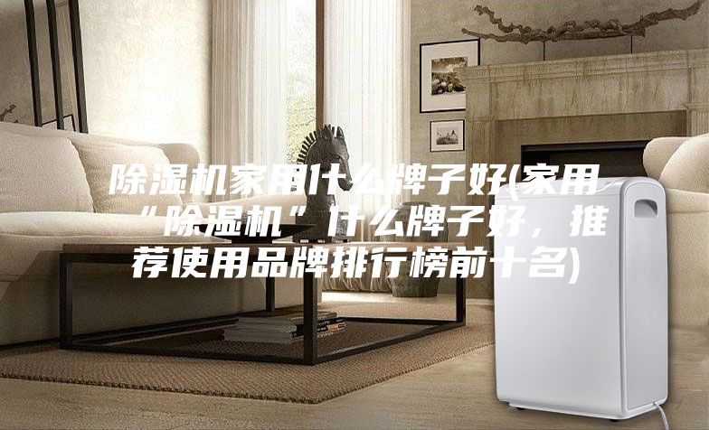 除濕機家用什么牌子好(家用“除濕機”什么牌子好，推薦使用品牌排行榜前十名)