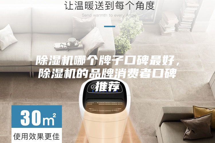 除濕機哪個牌子口碑最好,除濕機的品牌消費者口碑推薦