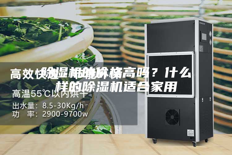 除濕機的價格高嗎?什么樣的除濕機適合家用