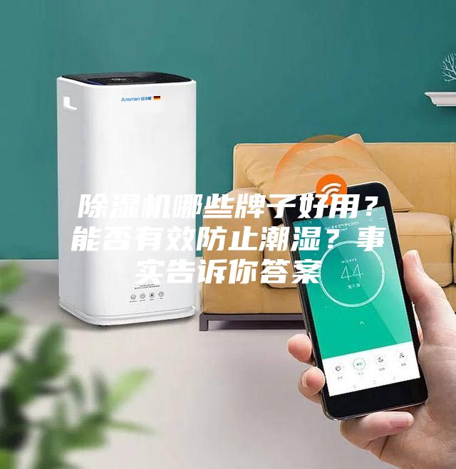 除濕機(jī)哪些牌子好用?能否有效防止潮濕?事實告訴你答案