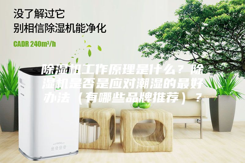 除濕機工作原理是什么?除濕機是否是應對潮濕的最好辦法(有哪些品牌推薦)?