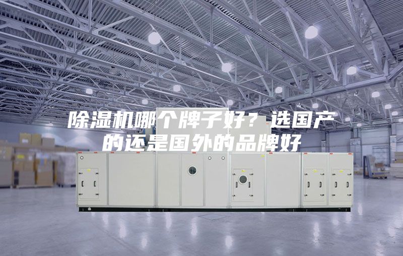 除濕機哪個牌子好?選國產的還是國外的品牌好