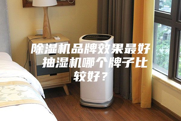 除濕機品牌效果最好 抽濕機哪個牌子比較好？