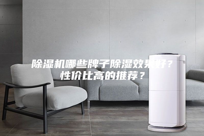 除濕機(jī)哪些牌子除濕效果好?性價比高的推薦?