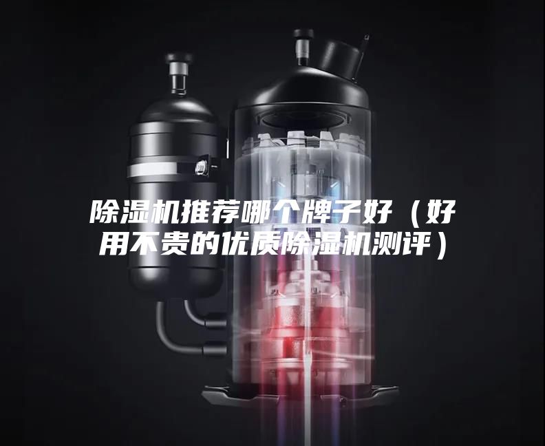 除濕機推薦哪個牌子好(好用不貴的優質除濕機測評)