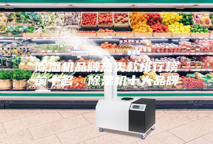 除濕機品牌熱賣款排行榜前十名，除濕機十大品牌