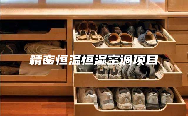 精密恒溫恒濕空調項目