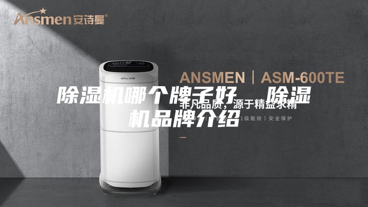 除濕機哪個牌子好 除濕機品牌介紹