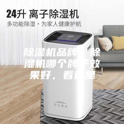 除濕機品牌，除濕機哪個牌子效果好，看這里