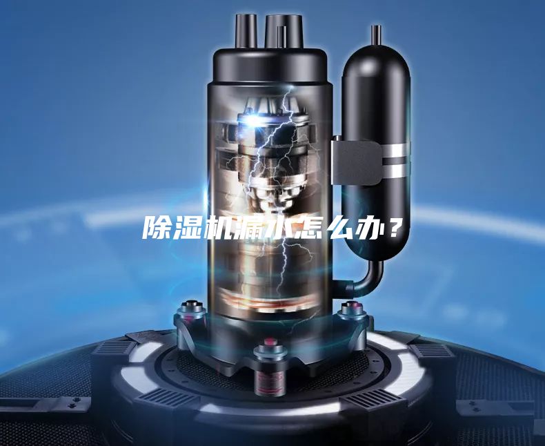 除濕機(jī)漏水怎么辦?