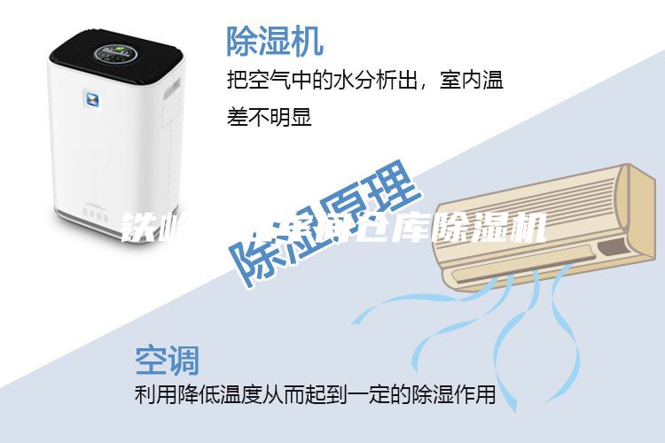 鐵嶺工業車間倉庫除濕機