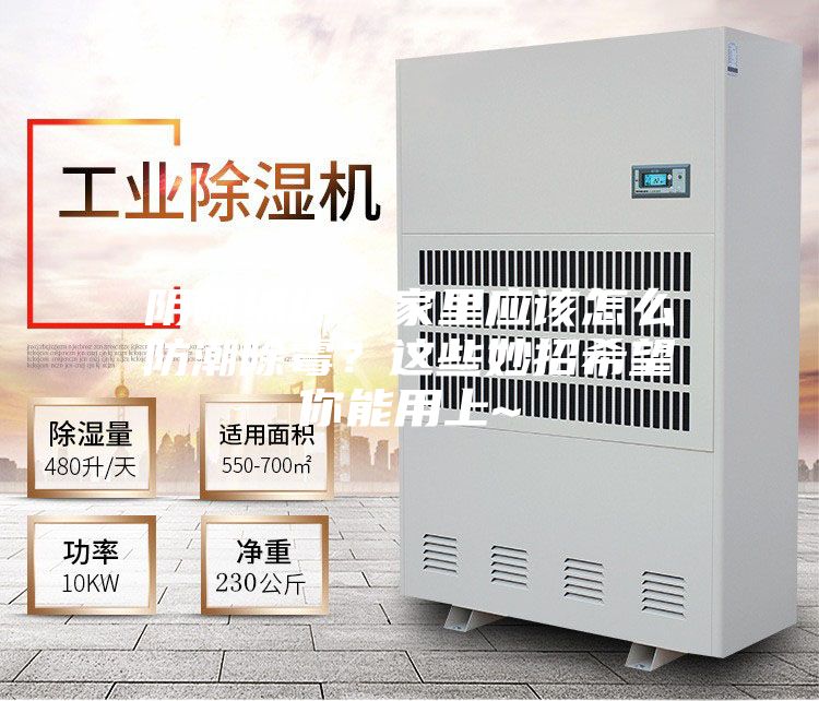 陰雨綿綿,家里應(yīng)該怎么防潮除霉?這些妙招希望你能用上~