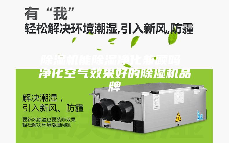 除濕機能除濕凈化兼顧嗎 凈化空氣效果好的除濕機品牌