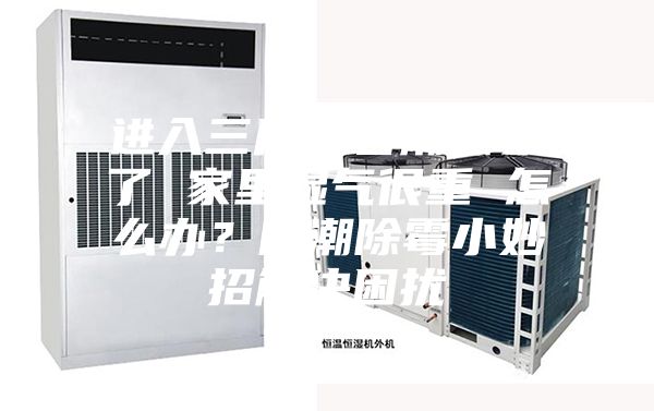 進(jìn)入三月“春潮”來了 家里濕氣很重 怎么辦?防潮除霉小妙招解決困擾