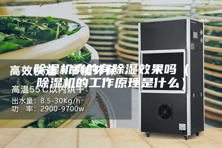 除濕機真的有除濕效果嗎(除濕機的工作原理是什么)