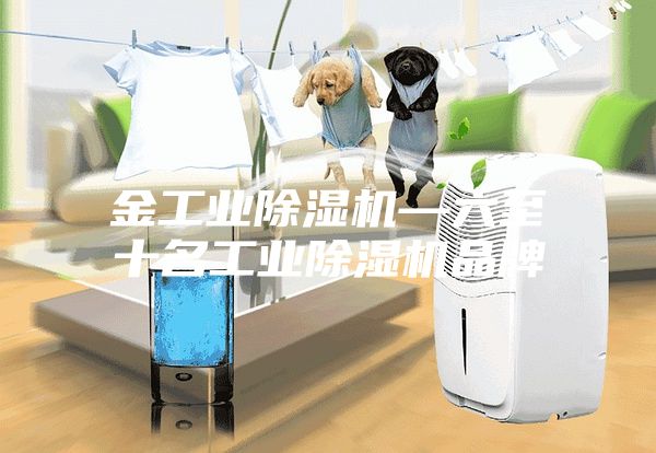 金工業除濕機—六至十名工業除濕機品牌