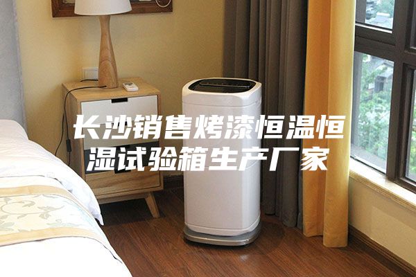 長沙銷售烤漆恒溫恒濕試驗箱生產廠家