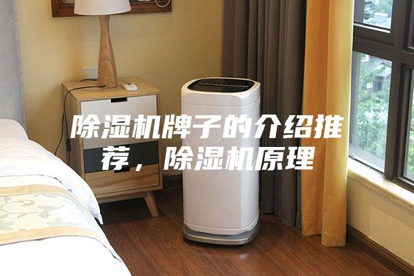 除濕機(jī)牌子的介紹推薦,除濕機(jī)原理