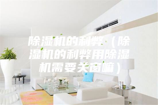 除濕機的利弊（除濕機的利弊用除濕機需要關窗嘛）