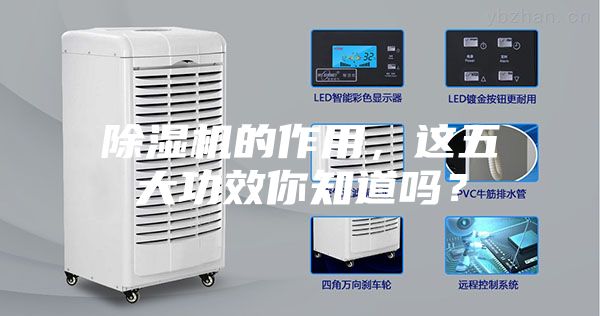 除濕機的作用,這五大功效你知道嗎?