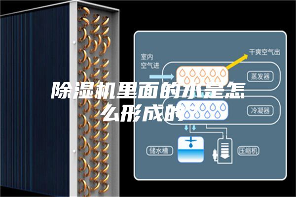 除濕機里面的水是怎么形成的？