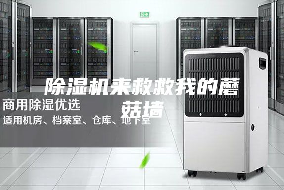 除濕機來救救我的蘑菇墻