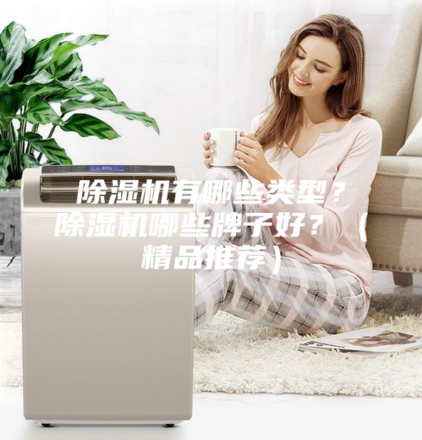 除濕機有哪些類型?除濕機哪些牌子好?(精品推薦)
