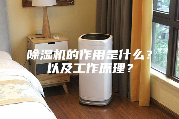 除濕機的作用是什么?以及工作原理?