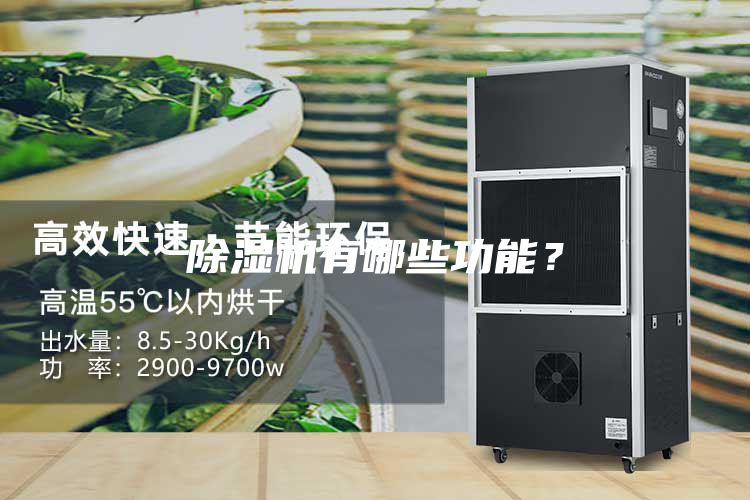 除濕機有哪些功能?