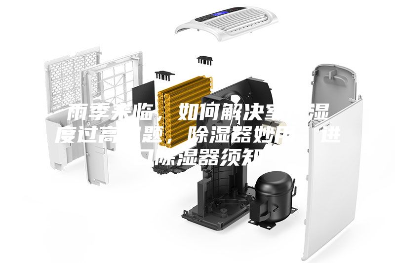 雨季來臨，如何解決室內濕度過高問題，除濕器妙用，進口除濕器須知