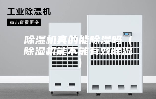 除濕機真的能除濕嗎(除濕機能不能有效除濕)