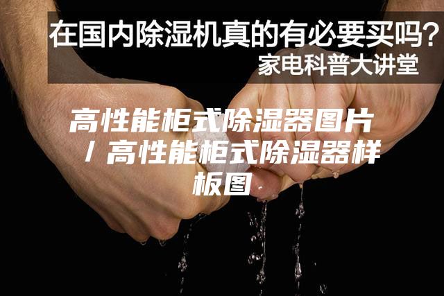 高性能柜式除濕器圖片/高性能柜式除濕器樣板圖