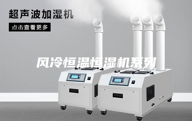 風冷恒溫恒濕機系列