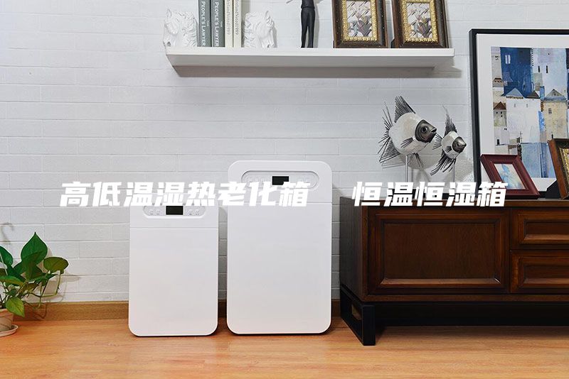 高低溫濕熱老化箱 恒溫恒濕箱