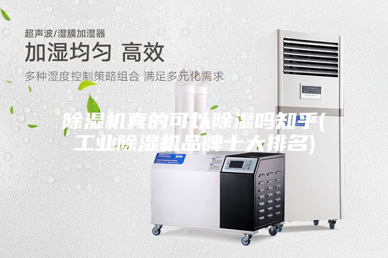 除濕機真的可以除濕嗎知乎(工業除濕機品牌十大排名)