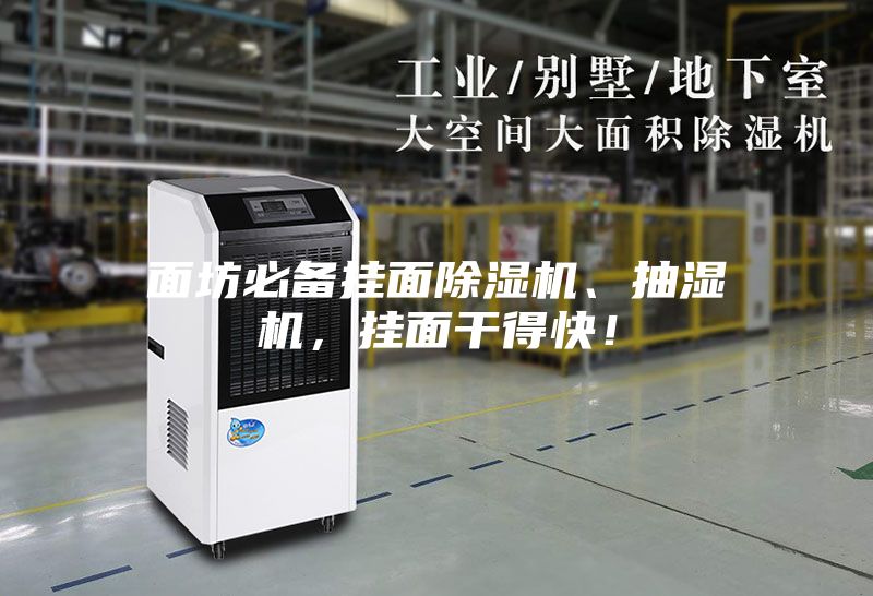 面坊必備掛面除濕機、抽濕機,掛面干得快!