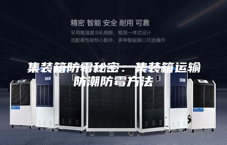 集裝箱防霉秘密:集裝箱運輸防潮防霉方法