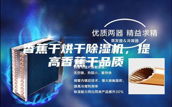 香蕉干烘干除濕機,提高香蕉干品質