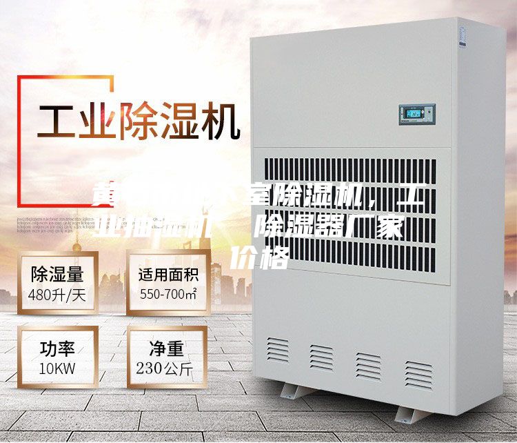黃石市地下室除濕機，工業抽濕機  除濕器廠家 價格