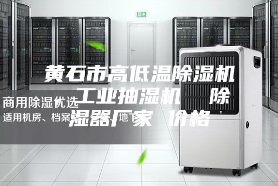 黃石市高低溫除濕機，工業抽濕機  除濕器廠家 價格