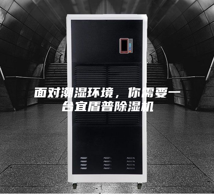 面對潮濕環境,你需要一臺宜盾普除濕機