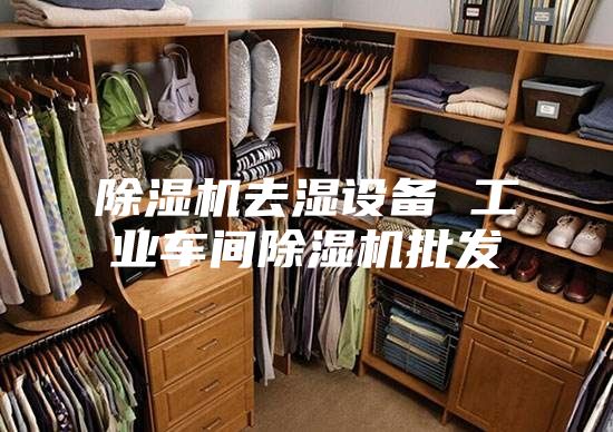 除濕機去濕設(shè)備 工業(yè)車間除濕機批發(fā)