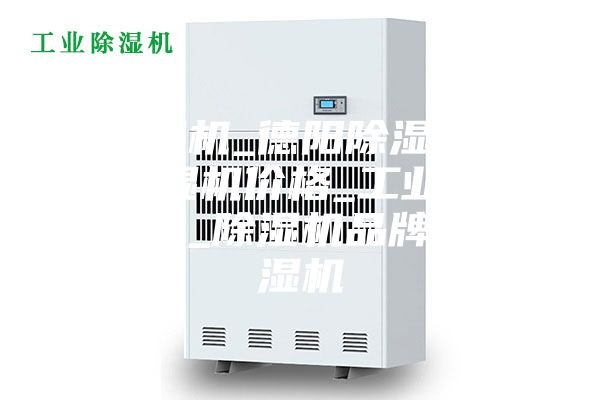除濕機(jī)_德陽除濕機(jī)_除濕機(jī)價(jià)格_工業(yè)除濕機(jī)_除濕機(jī)品牌_抽濕機(jī)