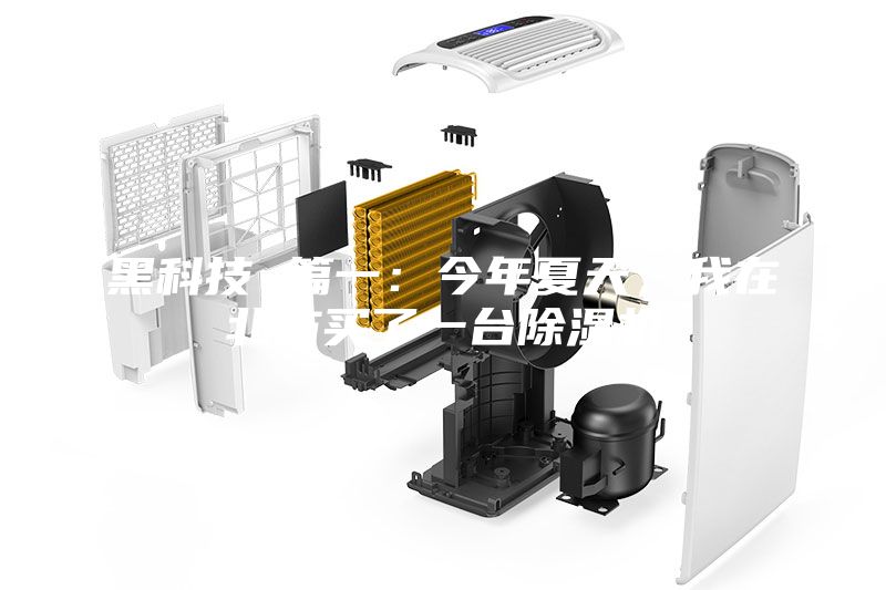 黑科技 篇一:今年夏天,我在北方買了一臺(tái)除濕機(jī)