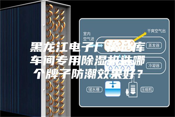 黑龍江電子廠房倉庫車間專用除濕機選哪個牌子防潮效果好？