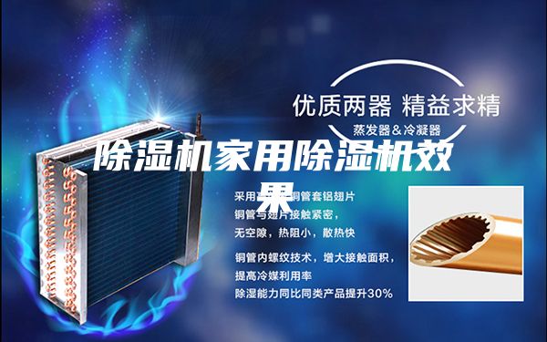 除濕機家用除濕機效果