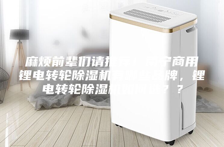 麻煩前輩們請推薦!南寧商用鋰電轉輪除濕機有哪些品牌,鋰電轉輪除濕機如何選??
