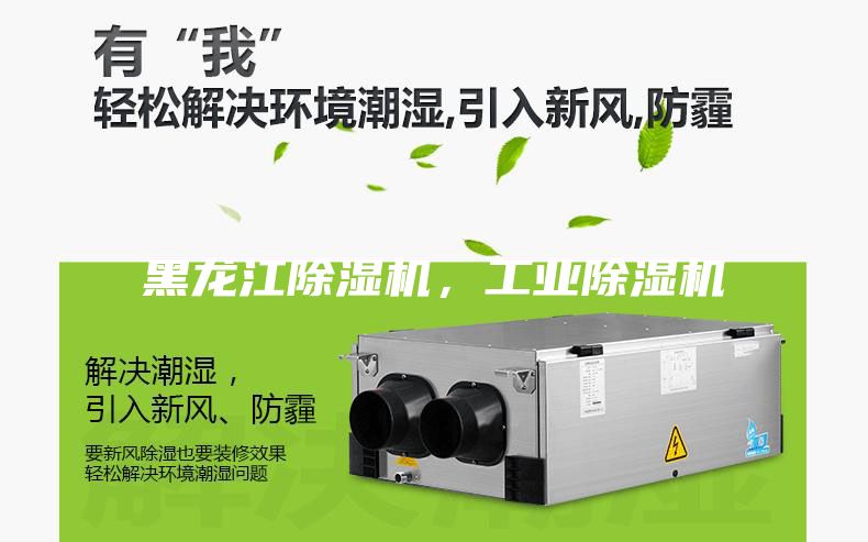 黑龍江除濕機(jī),工業(yè)除濕機(jī)