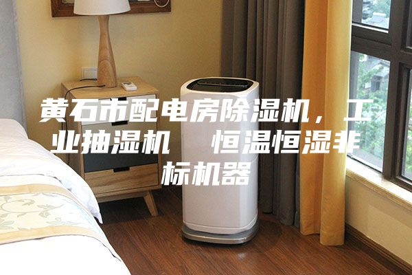 黃石市配電房除濕機,工業抽濕機 恒溫恒濕非標機器